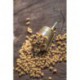 Preston 25 gr ICM Pellet Feeder