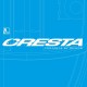 Cresta 0.10 mm Resilence 8-Braid Visorate