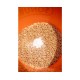 Sonubaits Maggot GLUE