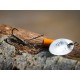 Spro Trout Master La Tournante Redhead 5.0 Gr - Treble Haak Size 10 (Incl. Single haak)