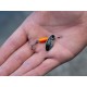 Spro Trout Master La Tournante Redhead 5.0 Gr - Treble Haak Size 10 (Incl. Single haak)