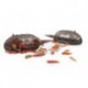 Korum Mini 30 Gr Grub Feeder