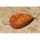 Avid Carp Small Method Feeder Mould