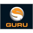 Guru