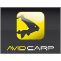 Avid Carp